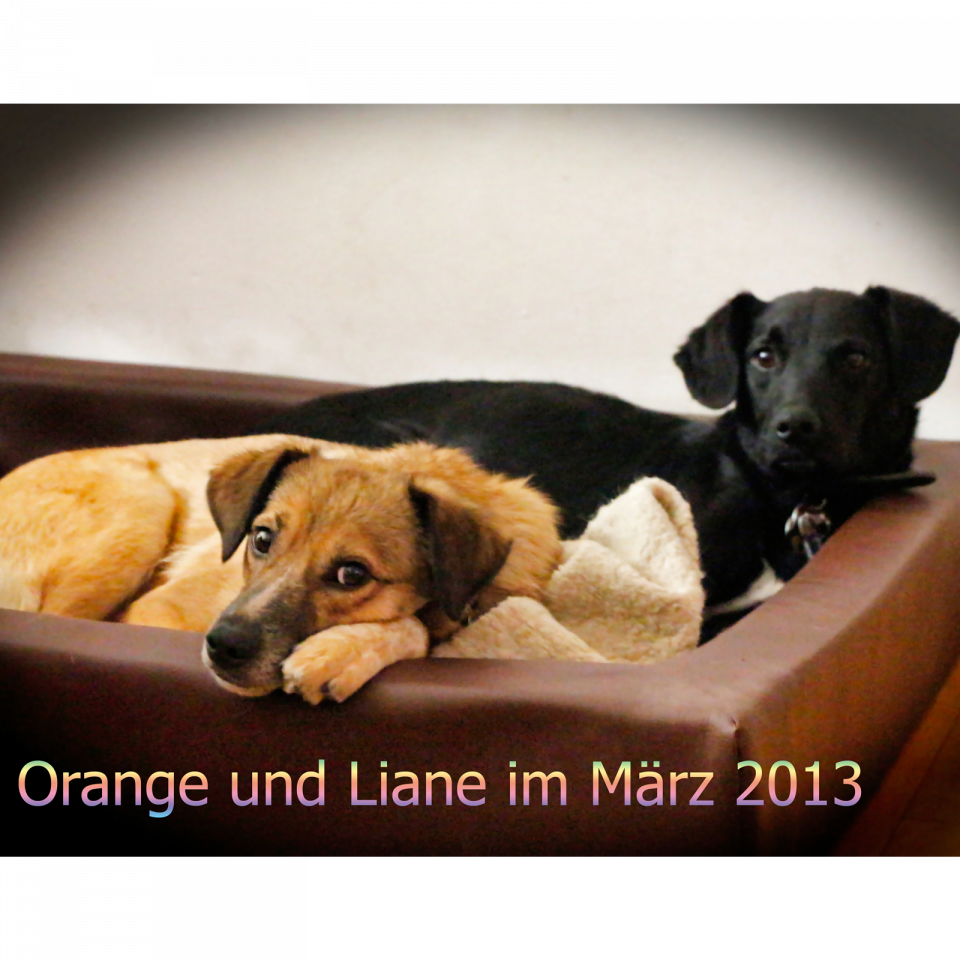 Orange - Wohnung