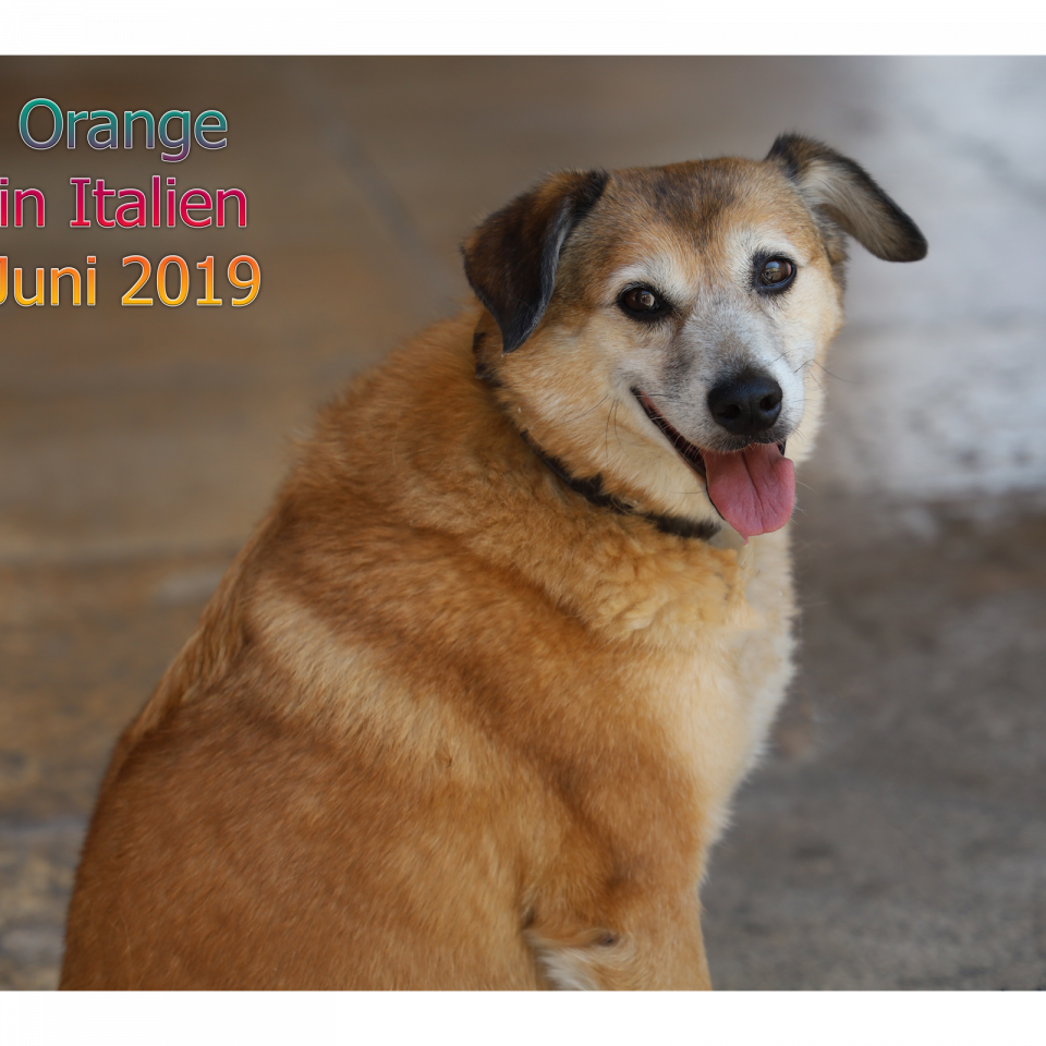 Orange - Italien