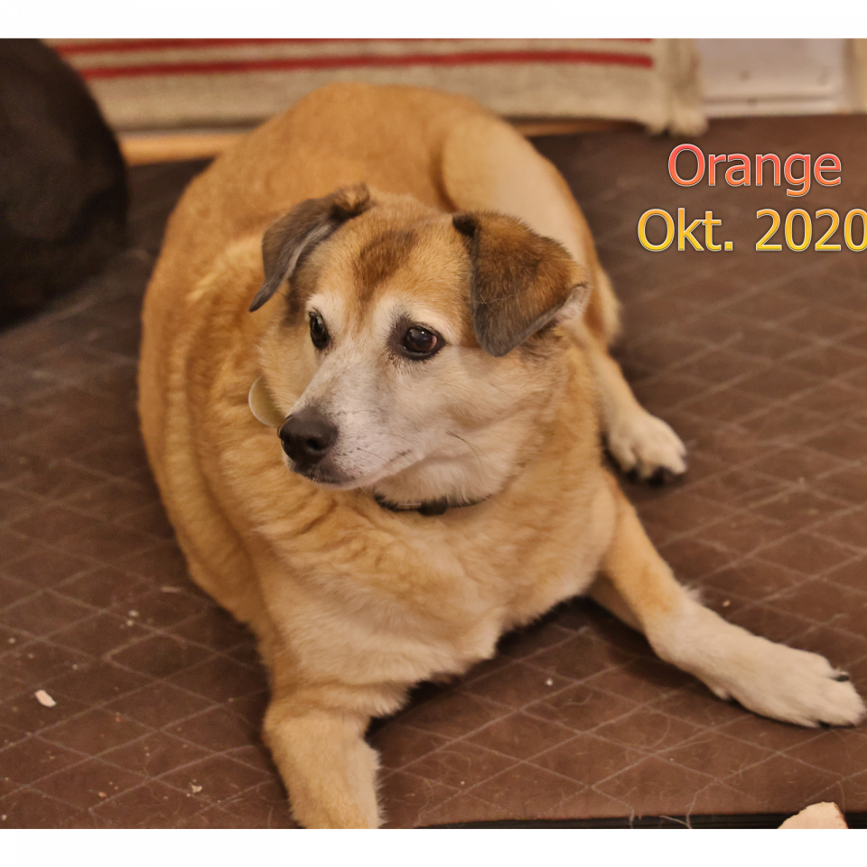 Orange 2020
