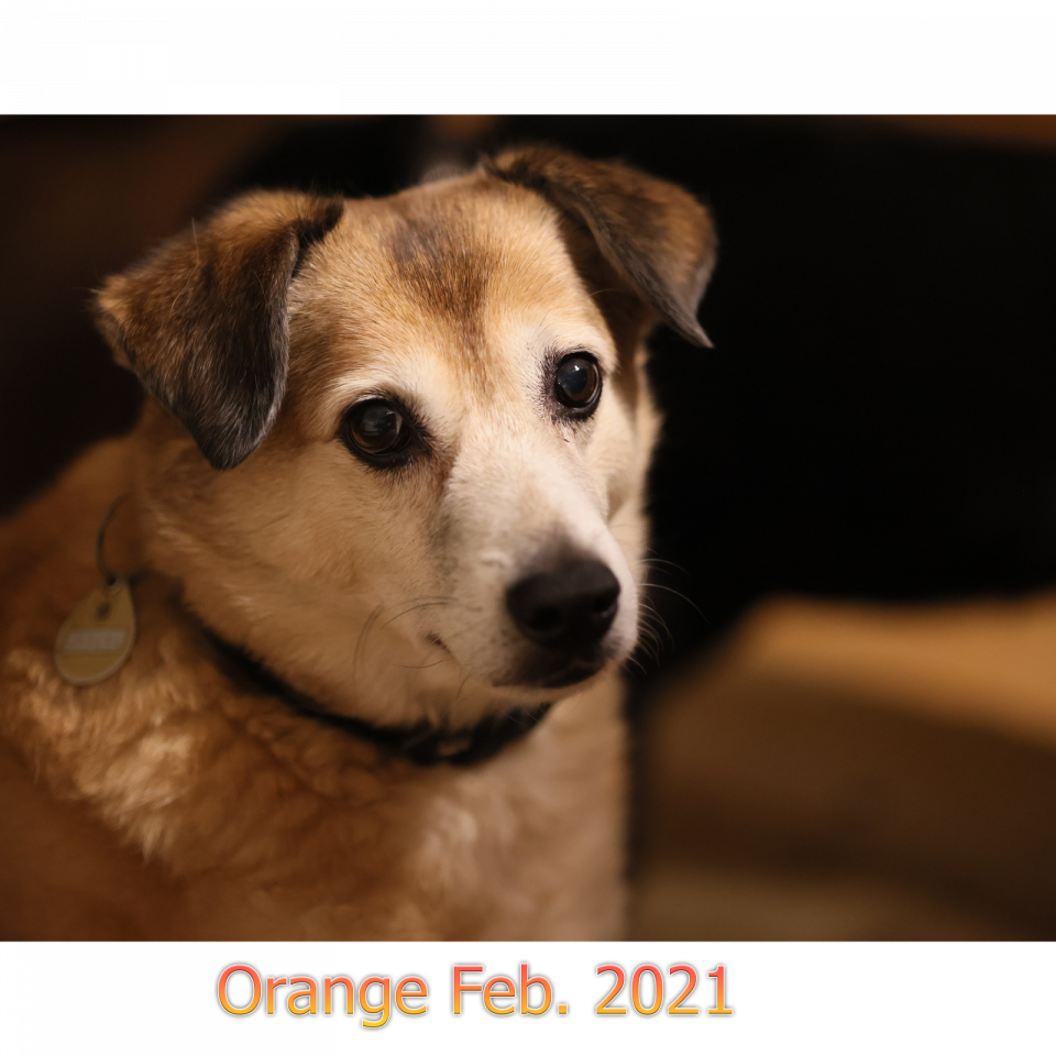 Orange 2021
