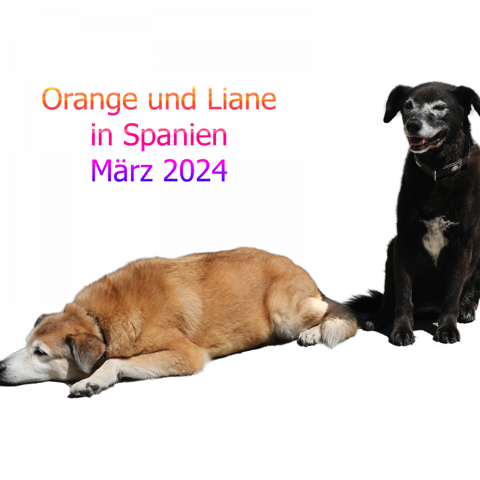 Orange - Spanien