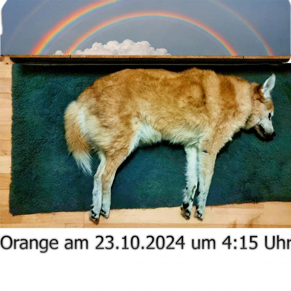 Orange - Regenbogen